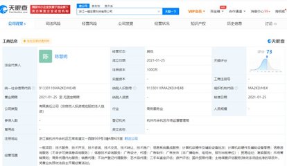 阿里成立一錘定音科技公司，劍指抖音“數字化底座”？繼“京西”后布局再引關注